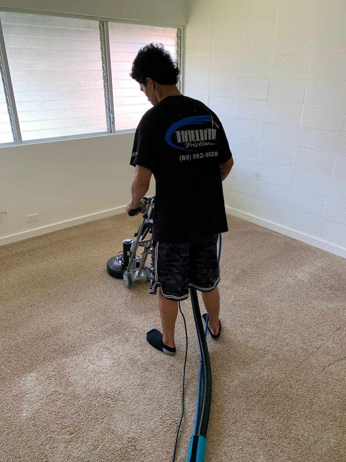 Carpet Cleaning for a Fresh Home in Hawaii image