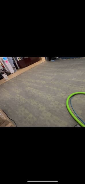 Transform Your Space with Pristine Carpet Cleaning